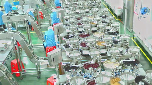 坚持绿色引领，洽洽食品获评“国家级绿色工厂”